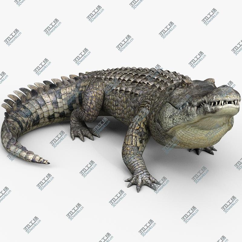 images/goods_img/20210313/3D model Crocodile Pro/1.jpg